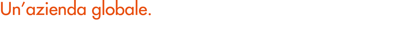 Un’azienda globale.